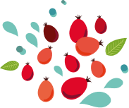 Очищаємо та миємо шипшину